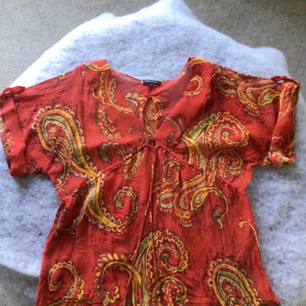 Sheer Silk Blouse with matching cami